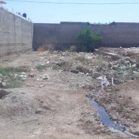 فروش زمین طلا ۳۱۰ متری با کمترین قیمت در ام تمیر|فروش زمین و ملک کلنگی|اهواز, اسماعیلیه|دیوار