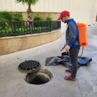 سمپاشی تخصصی حشرات و جوندگان|خدمات نظافت|کرج, مهرویلا شمالی|دیوار