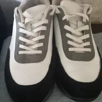 کتانی سایز۴۰|کیف، کفش، کمربند|پرند, فاز ۵|دیوار