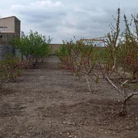 خدمات باغبانی در منطقه صوفیان و شبستر|خدمات باغبانی و درختکاری|تبریز, |دیوار