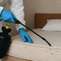 سمپاشی تخصصی ساسک و سوسک  کل تهران با تعرفه مشخص