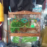 انواع سهره قناری چهار گل قفس چوبی وغیر، تماس|پرنده|مشهد, عنصری|دیوار