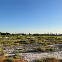 زمین500متری هندیجان زیرقیمت/مناسب ویلاتالار،گلخانه