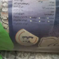 دو عدد فرش دوازده متری