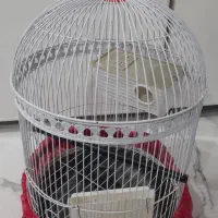 قفس پایه دار پرنده