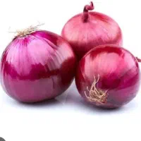 اجاره زمین جهت کاشت پیاز