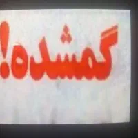 کارت سوخت وانت گمشده