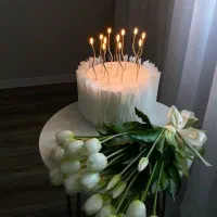 تشریفات مجلل سعادتآباد|خدمات پذیرایی، مراسم|تهران, دریا|دیوار