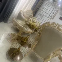 ویترین طلایی