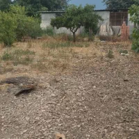 زمین|فروش زمین و ملک کلنگی|بندر گز, |دیوار