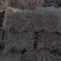 علوفه کاه و یونجه