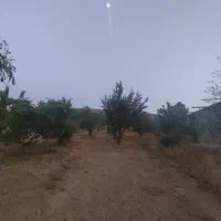 دهنوقلندری زمین باغ ویلا دهنو قلندری خانزنیان قلات|فروش زمین و ملک کلنگی|شیراز, امام حسین|دیوار