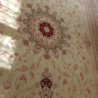 فرش ۱۲ متری|فرش|کرمانشاه, |دیوار