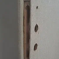 یک عدد بدون پوسیدگی و ترک فروش فوری|مصالح و تجهیزات ساختمان|نیشابور, شهرک قدس|دیوار