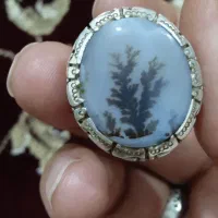 انگشتر نقره شجر|جواهرات|سنندج, |دیوار