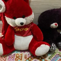 عروسک|اسباب‌‌بازی|زنجان, |دیوار