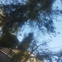 نیازمند ضامن. وام ازدواج