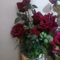 باکس گل