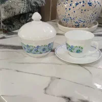 فنجان و نعلبکی آرکوپال