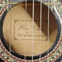 گیتار پائوچیا