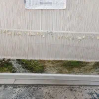 تابلو فرش کوچه باغ