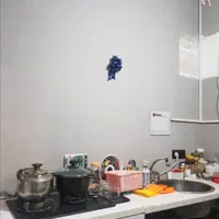 اجاره مغازه ۵۵ متری دانشجو فرهنگ|اجارهٔ مغازه و غرفه|مشهد, دانشجو|دیوار