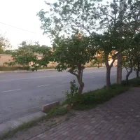 نیازمند فروشنده لوازم یدکی