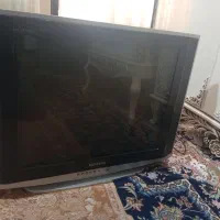 تلوزیون