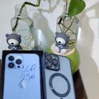 iPhone 13 Pro Max 256g