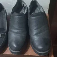 کفشا جفتی ۱۰۰|کیف، کفش، کمربند|مشهد, آزادشهر|دیوار