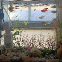 اکواریوم با تجهیزات