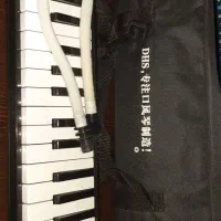 ملودیکا|گیتار، بیس، امپلیفایر|تهران, امیریه|دیوار