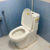 کاسه فرنگی و روشویی ایستاده