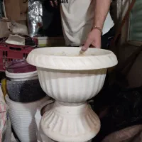 گلدان سفالی|گل و گیاه طبیعی|پاکدشت, پاکدشت (مامازند)|دیوار