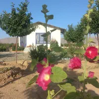 بهترین موقعیت خرید ملک|فروش دفتر صنعتی، کشاورزی، تجاری|اراک, |دیوار