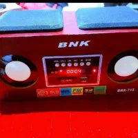 اسپیکر رادیو دار و میکروفون