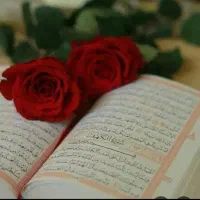 باسرکتاب کامل وواقعی شکفت زده شوید و مشتری ثابت