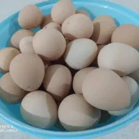 تخم مرغ شاخدار