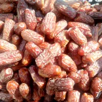 خرمای آجیلی پیارم