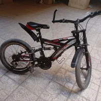 دوچرخه۲۰عاج دار