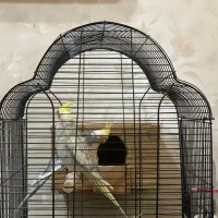 جفت مولد همراه قفس