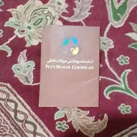 فروش سگ ژرمن در استان کرمان شهرستان ریگان|سگ|ریگان, |دیوار