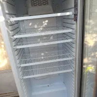 یخچال ایستاد|فروشگاه و مغازه|خمینیشهر, |دیوار