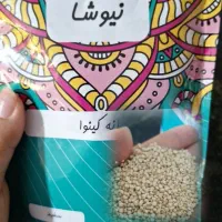 کینوا یا خاویار گیاهی|آرایشی، بهداشتی، درمانی|مشهد, طلاب|دیوار