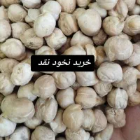 سرگرمی نخود‌خرید داریم