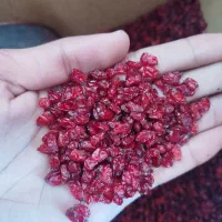 زرشک دانه اناری و زیر تالاری محصول پاییز ۱۴۰۴ قائن|خوردنی و آشامیدنی|قائن, |دیوار