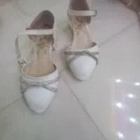 کفش مجلسی