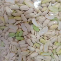 پاک کردن باقالی لوبیا خورد کردن لوبیا استانبولی|خوردنی و آشامیدنی|رشت, بوسار|دیوار