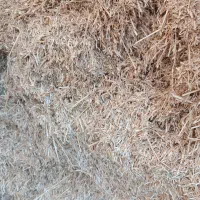 کاه گندم دیم|عمدهفروشی|قشلاق دشت, |دیوار