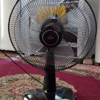 پنکه سالم و دور پنکه نمیچرخه و سالمه